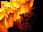 Flowers and luminaries in Lethbridge