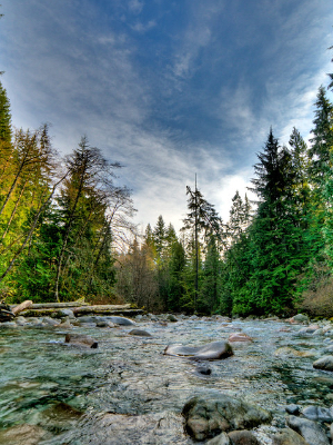 Lynn Canyon!! 