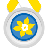 TeamRaiser Achievement Badge